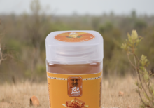 Royal Wild Sal Honey